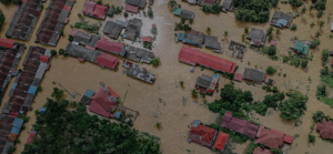 Fire Damage Prevention, Water Damage Prevention, Mold Prevention